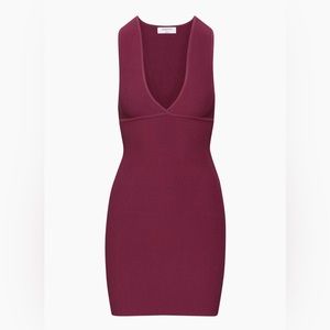 NWT Aritzia Deep V Dress